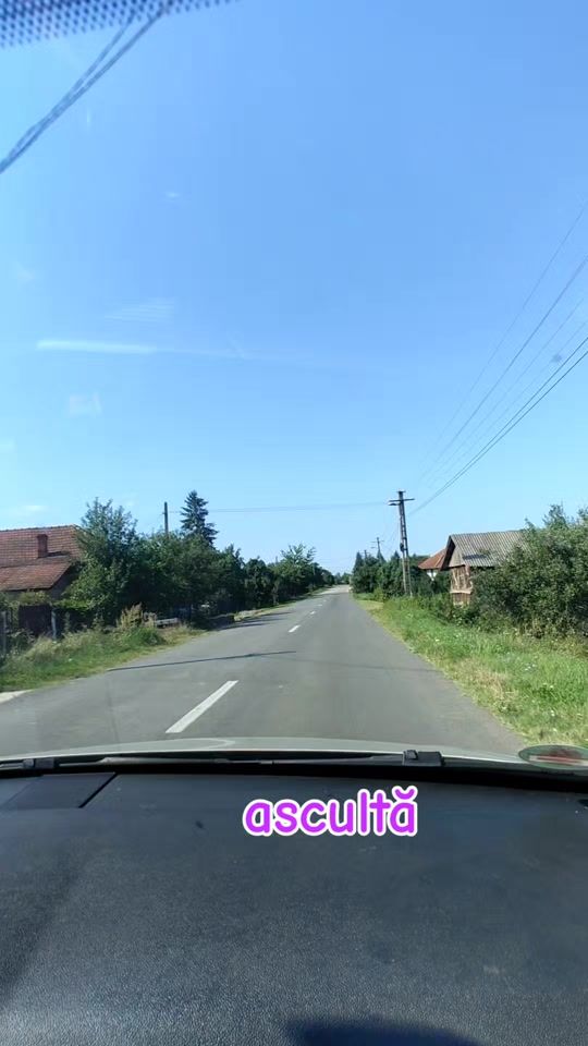 TikTok video thumbnail by ancaotiliaodagiu