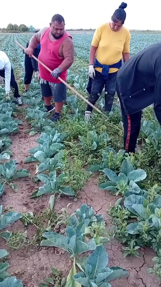 TikTok video thumbnail by user1275691519931