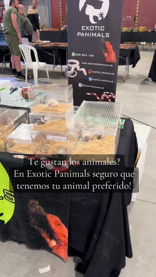 TikTok video thumbnail by exoticpanimals