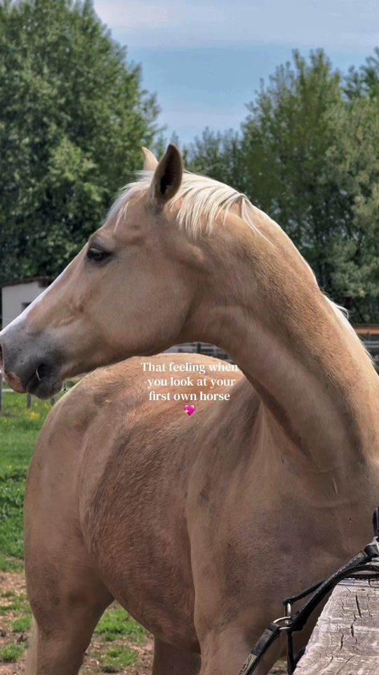 TikTok video thumbnail by _michelleberger_