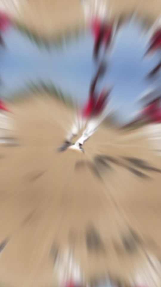 TikTok video thumbnail by rasboy16