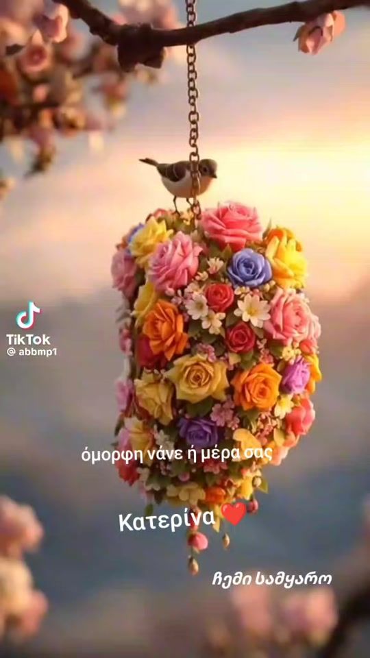 TikTok video thumbnail by user26603052615