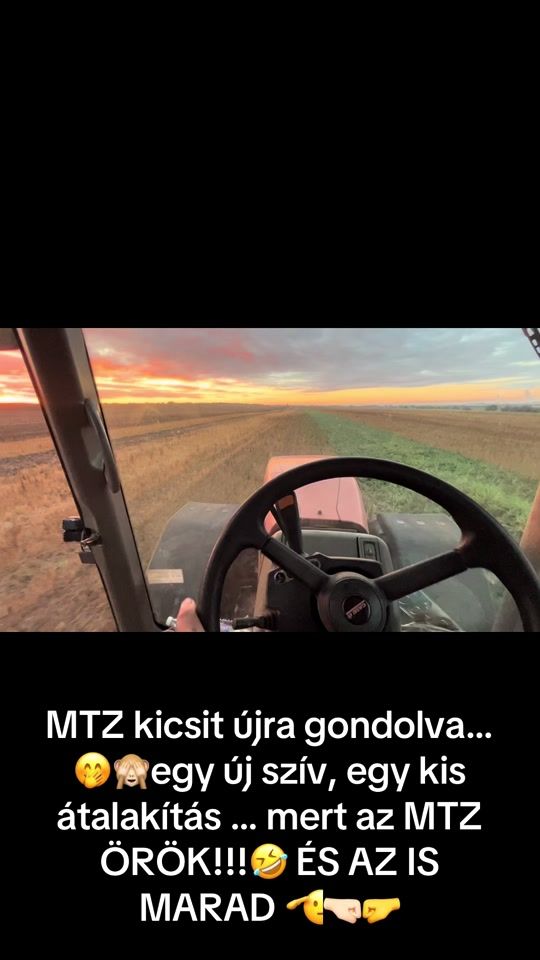 TikTok video thumbnail by zotya3.3
