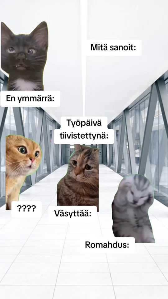 TikTok video thumbnail by teukkaliinos
