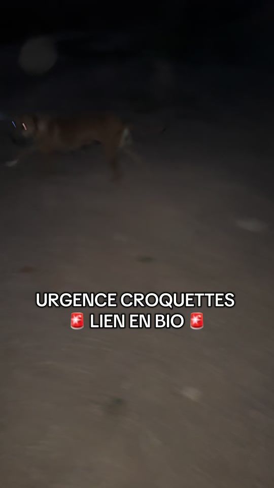 TikTok video thumbnail by sara.mrm