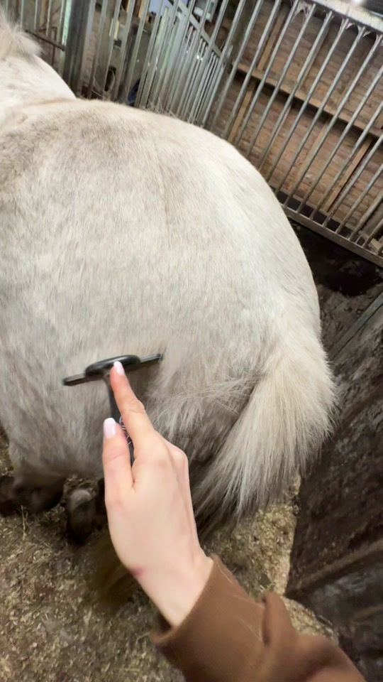 TikTok video thumbnail by thomsenbella