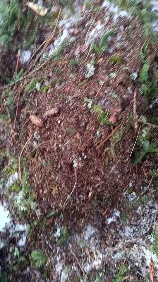 TikTok video thumbnail by lukasrass95