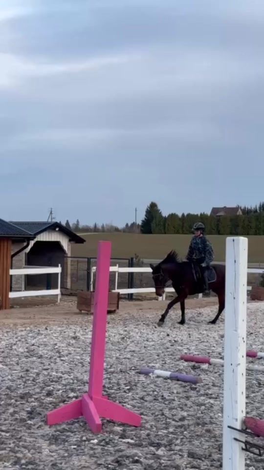 TikTok video thumbnail by vytneris