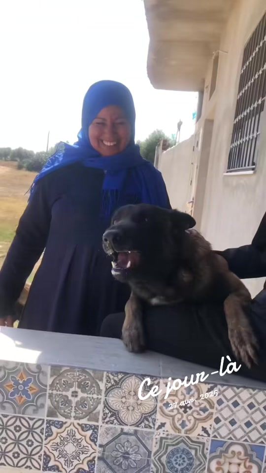 TikTok video thumbnail by seiff_k9