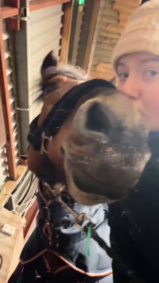 TikTok video thumbnail by venla.susannaw