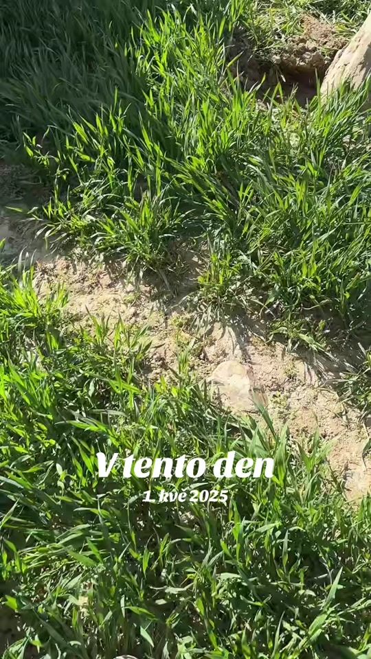 TikTok video thumbnail by lukas_ledvon