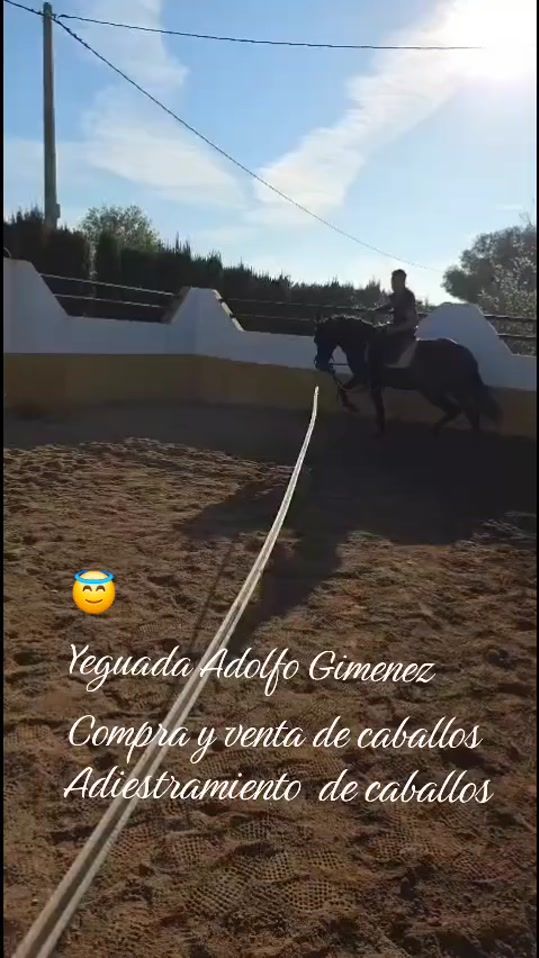 TikTok video thumbnail by moises_bendecido