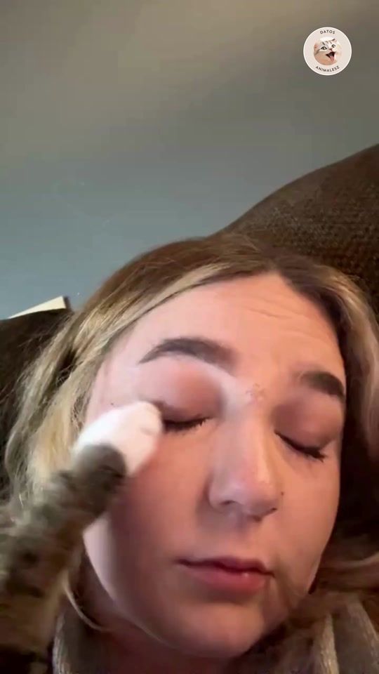 TikTok video thumbnail by datos.animalesz