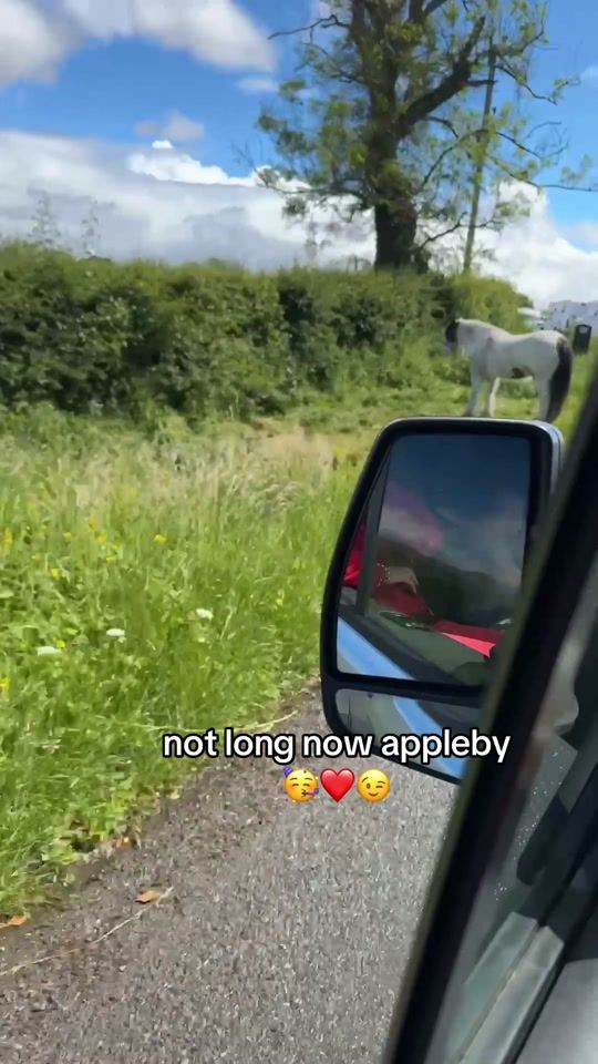 TikTok video thumbnail by .lottie.spammmx