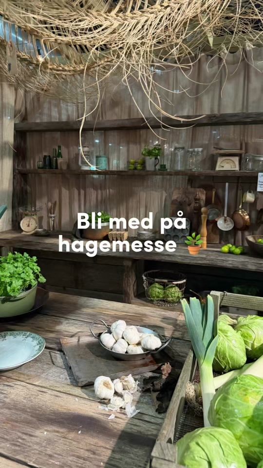 TikTok video thumbnail by milleskatvedt
