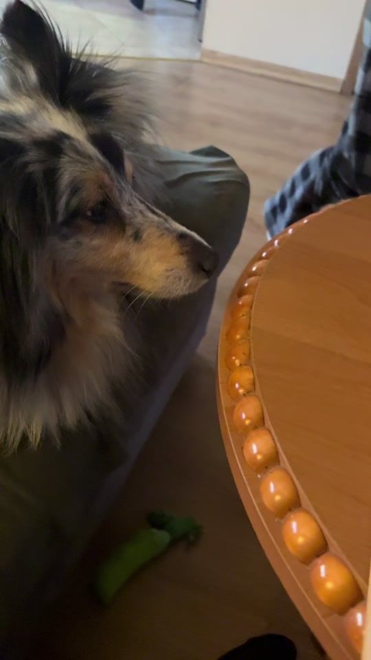 TikTok video thumbnail by fintop6