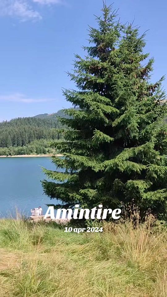 TikTok video thumbnail by yulia4ever7