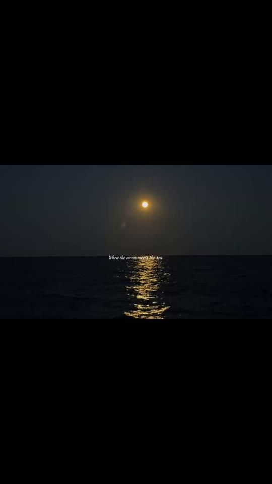 TikTok video thumbnail by sheislabi