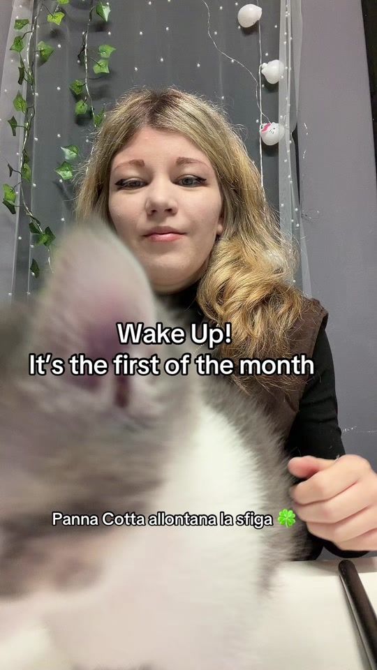 TikTok video thumbnail by raviolo13