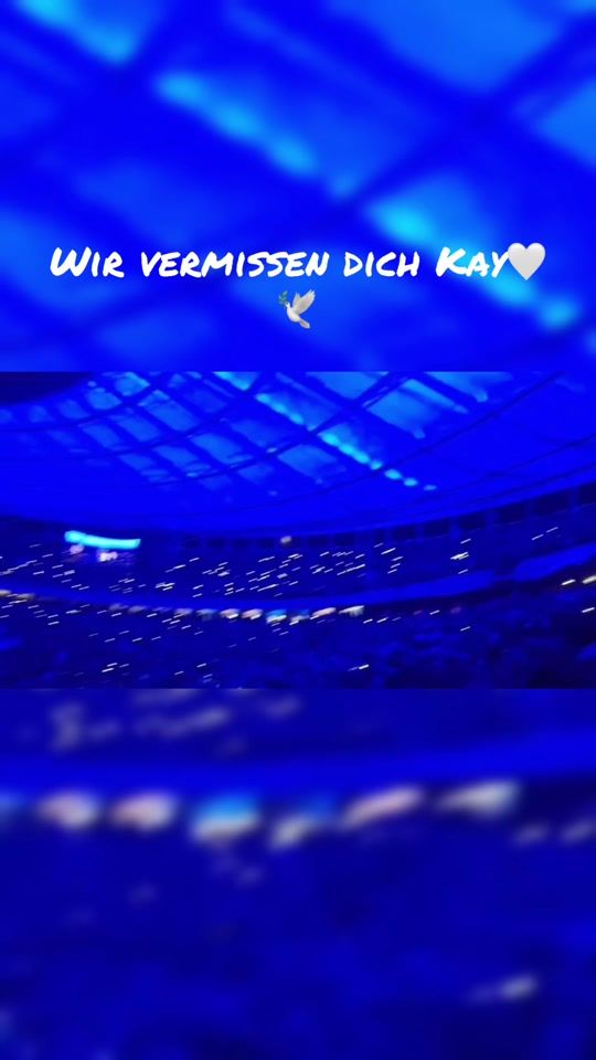 TikTok video thumbnail by vlemonhaze