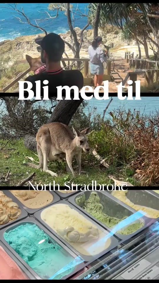 TikTok video thumbnail by maila.orderud