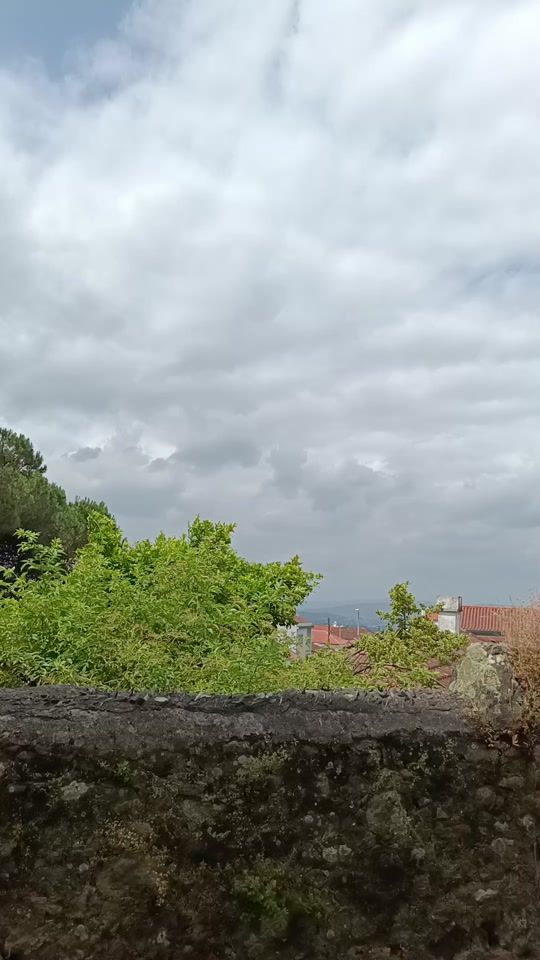 TikTok video thumbnail by susanadiassusana