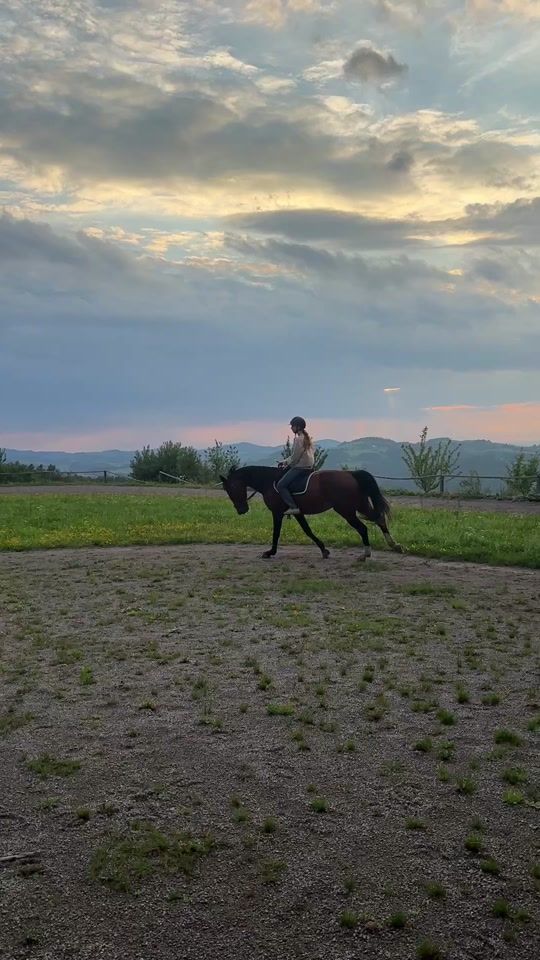 TikTok video thumbnail by showjumping.finni
