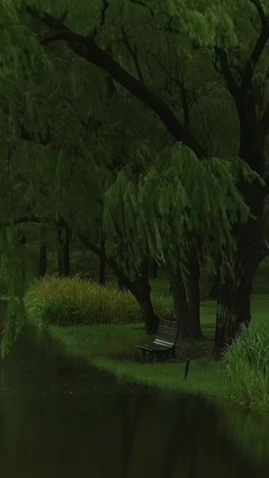 TikTok video thumbnail by vravus_