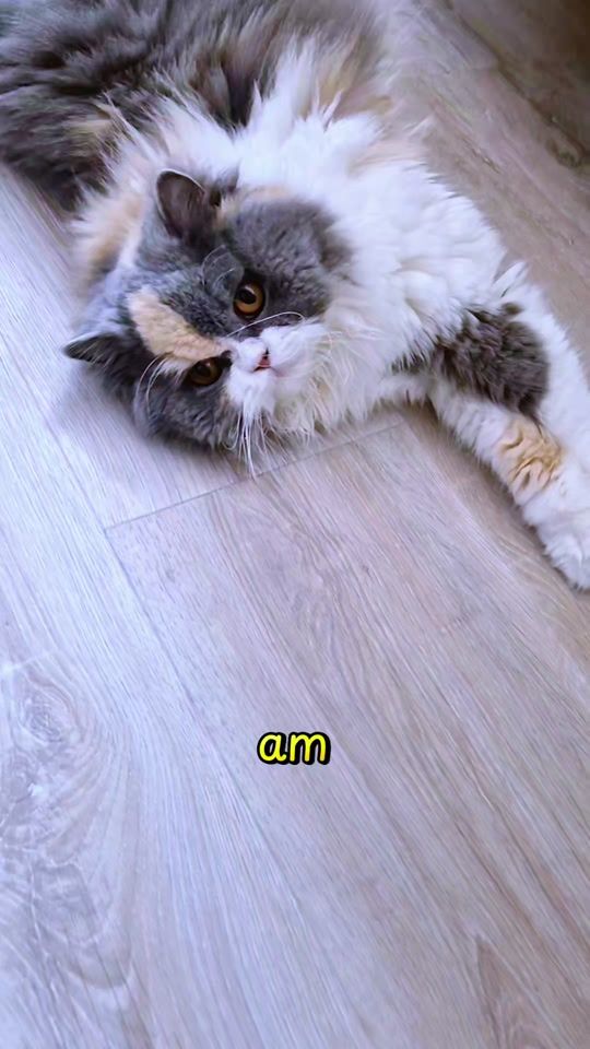 TikTok video thumbnail by promogoodvibes