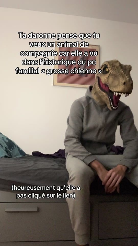 TikTok video thumbnail by ledinosaure75