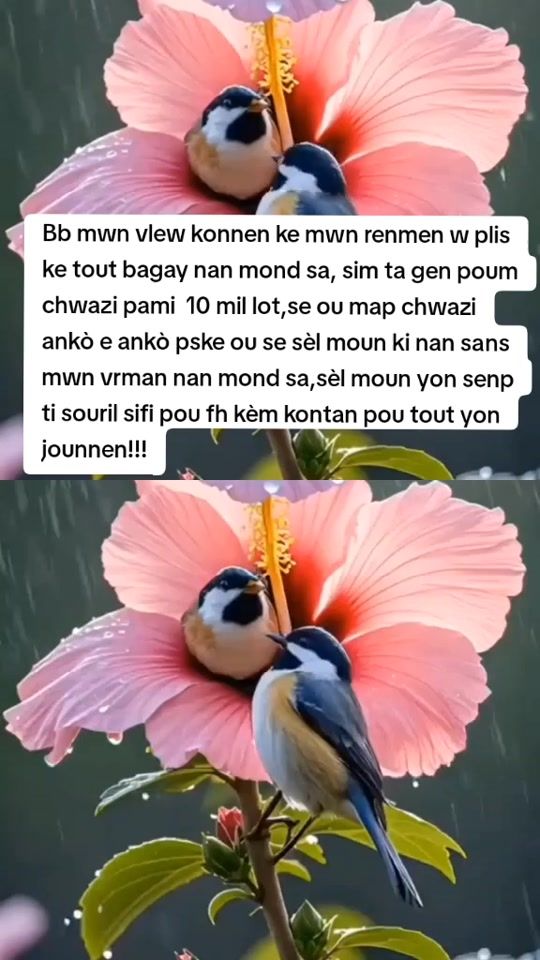 TikTok video thumbnail by joamjoseph17