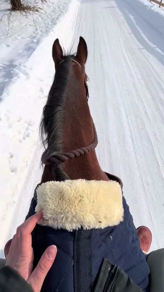TikTok video thumbnail by lina.faane