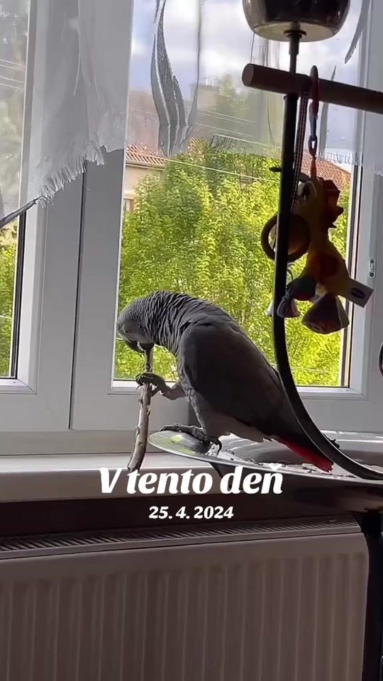 TikTok video thumbnail by zako.miku