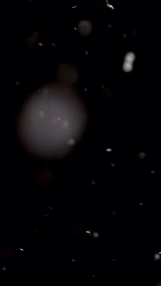 TikTok video thumbnail by der_echte_grizzly