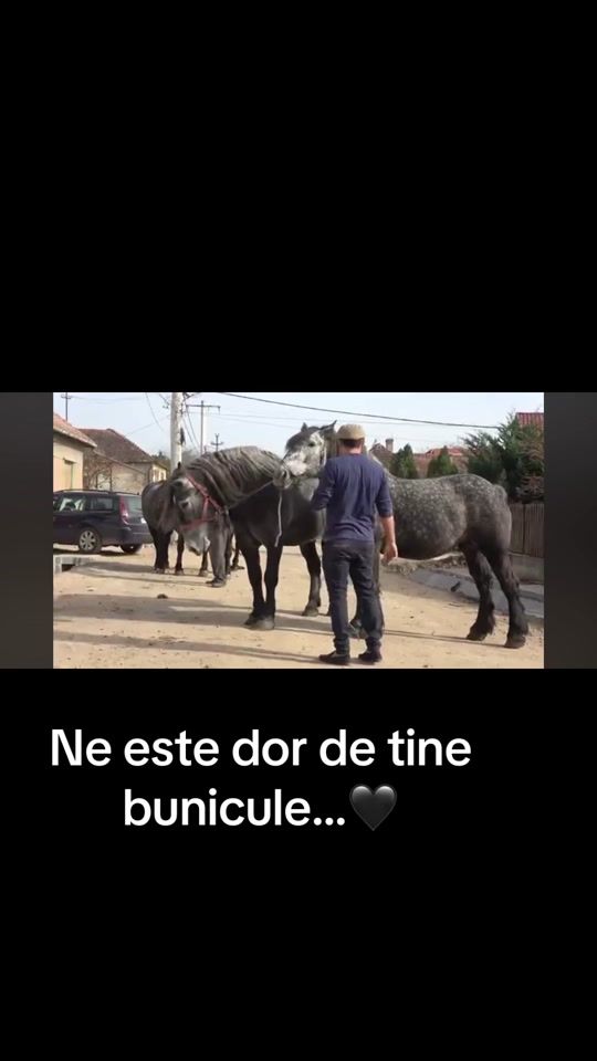 TikTok video thumbnail by beniiacob0