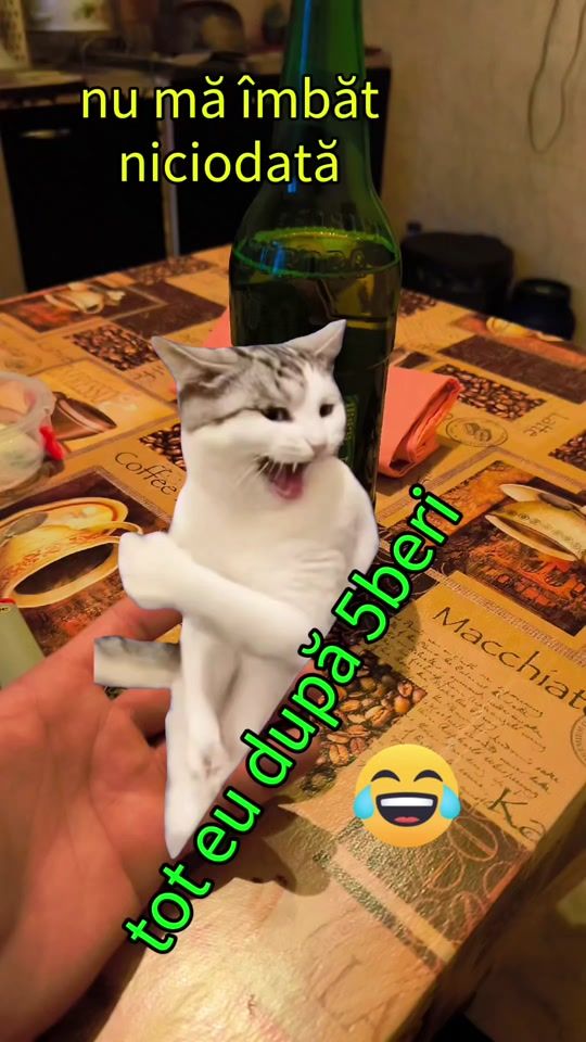 TikTok video thumbnail by trafic_de_sentimente35