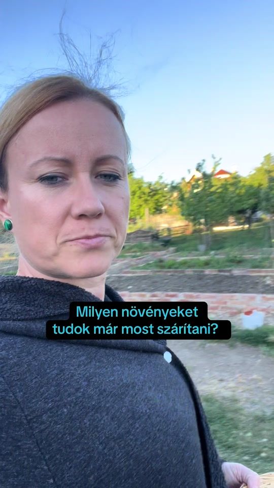 TikTok video thumbnail by harmoniaokokert