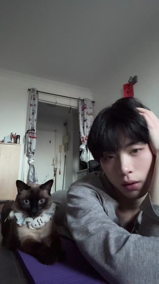 TikTok video thumbnail by yzzl__