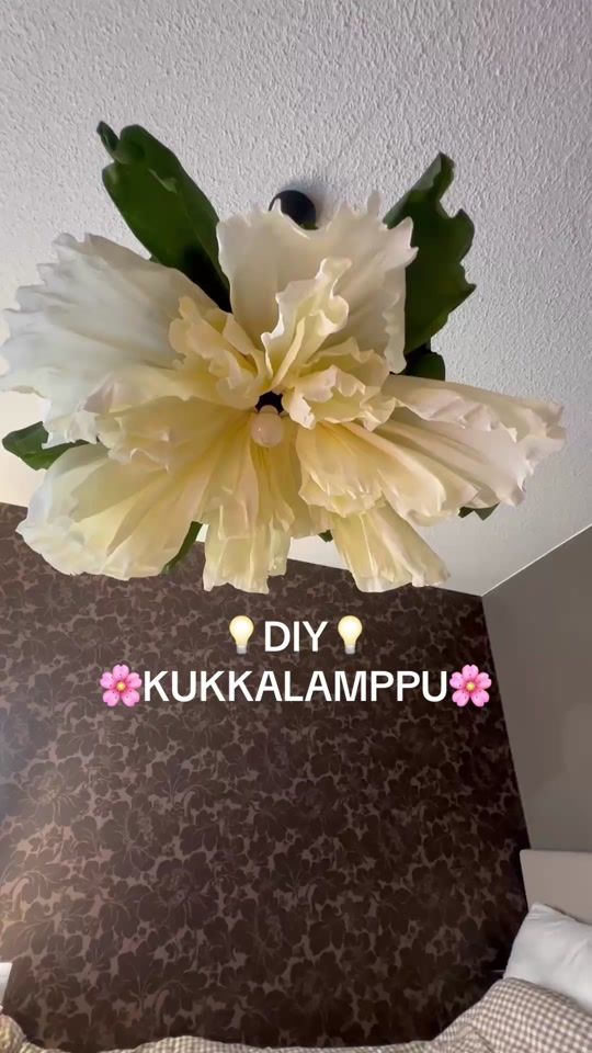 TikTok video thumbnail by saltsivaan