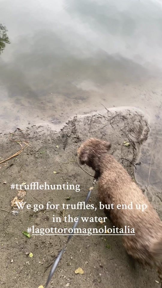 TikTok video thumbnail by christinalund118