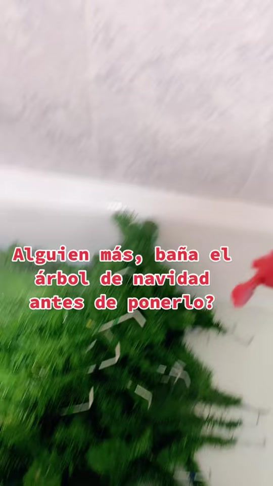 TikTok video thumbnail by adaiarodriguez