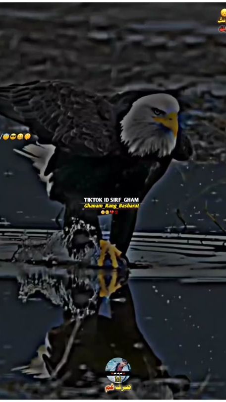 TikTok video thumbnail by sirf_gham_6