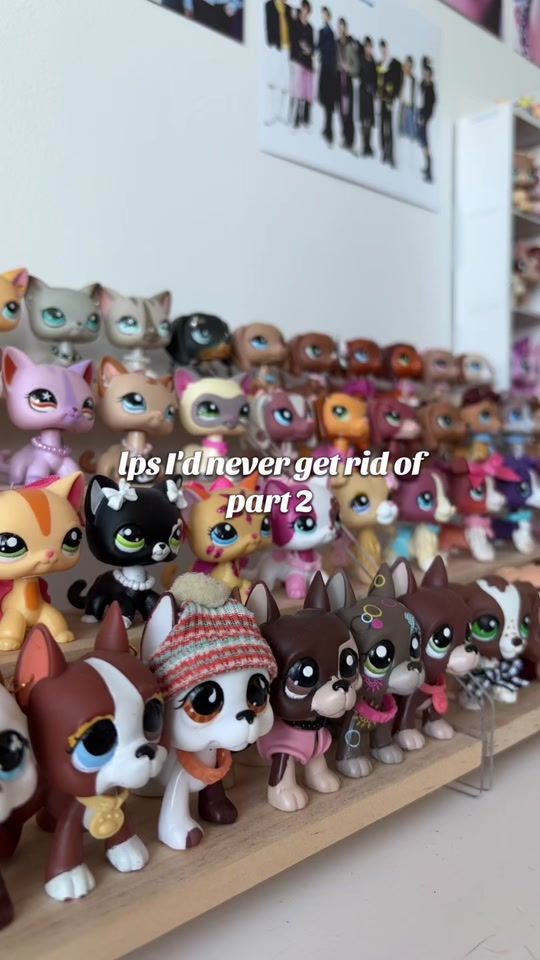 TikTok video thumbnail by vaniapetshops