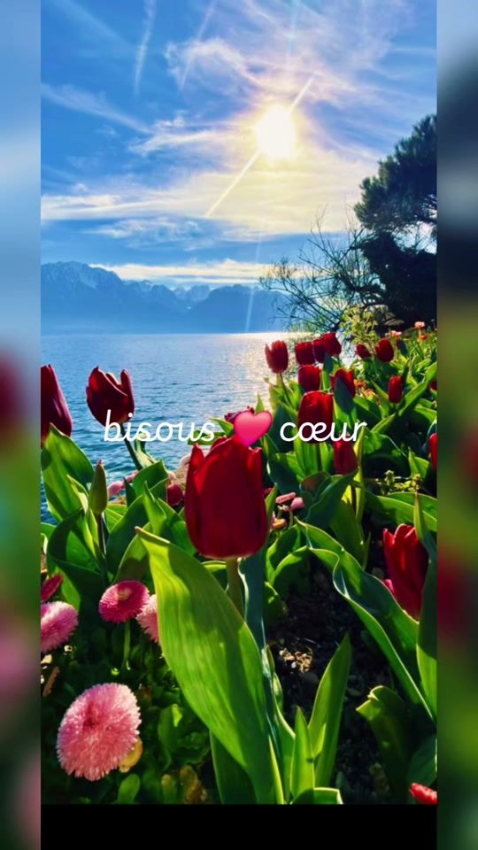 TikTok video thumbnail by .bisous.a.s