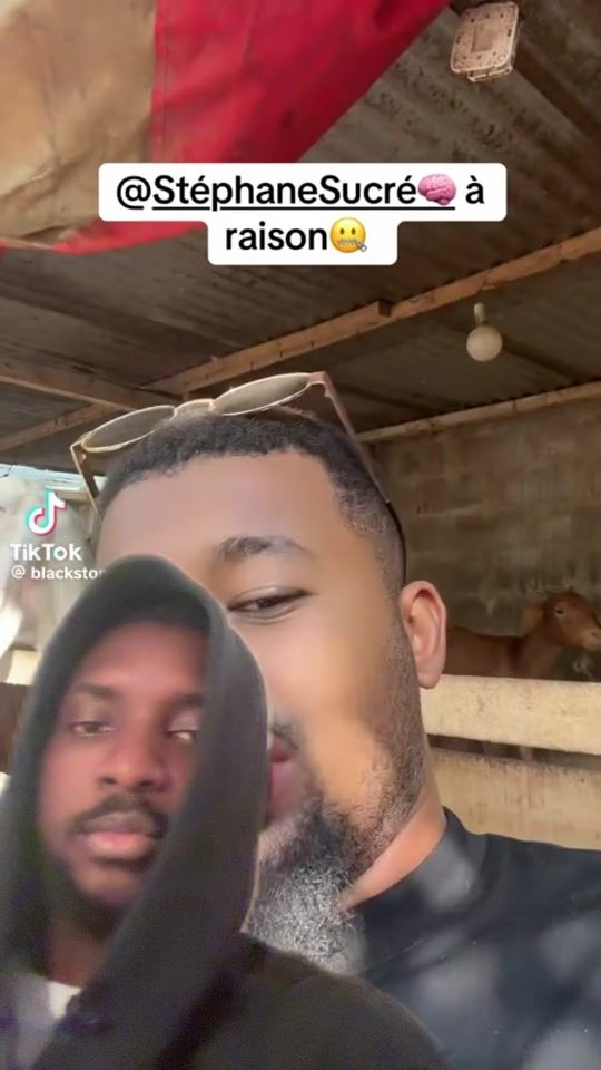 TikTok video thumbnail by mh_le_king