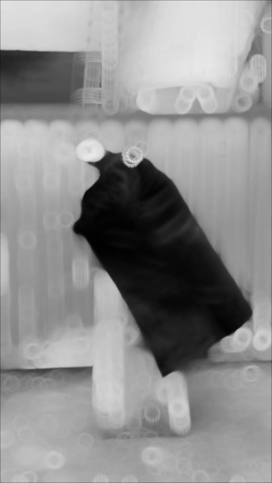 TikTok video thumbnail by spacecrib