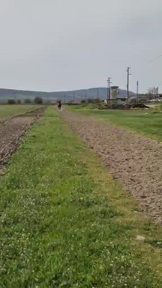 TikTok video thumbnail by niyazi_saliev