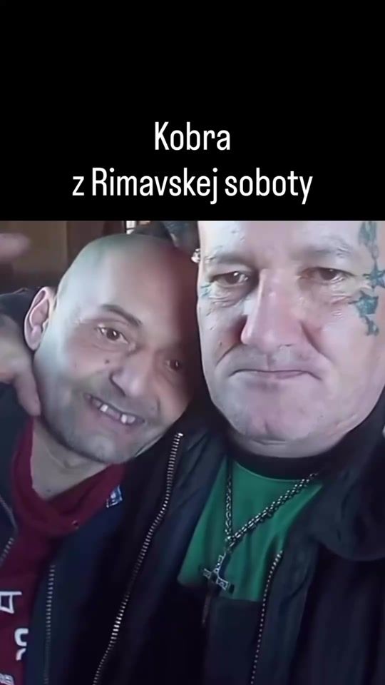 TikTok video thumbnail by myslienkyslovakov