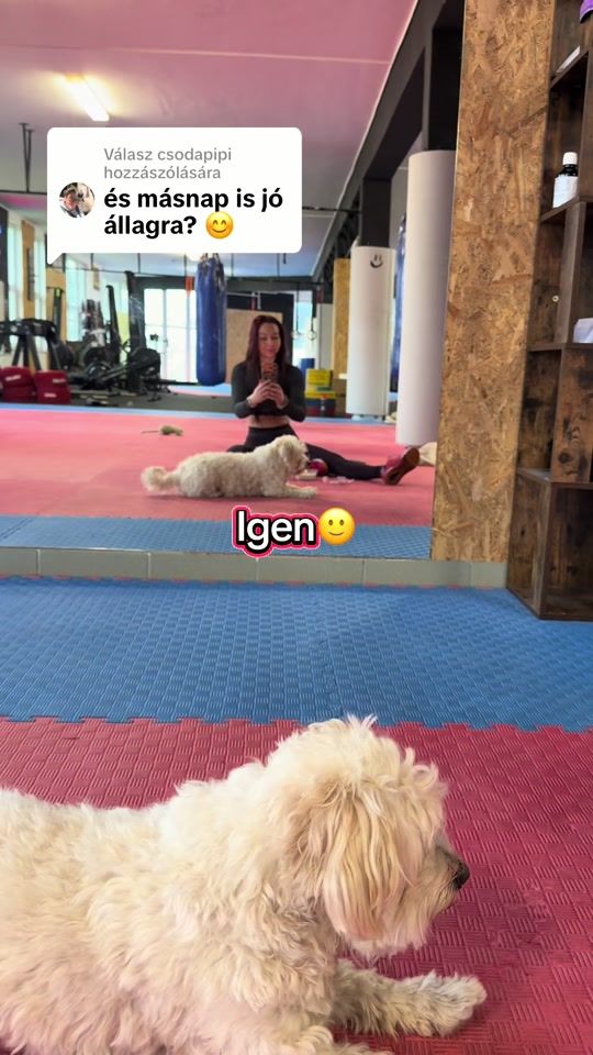 TikTok video thumbnail by fittfrufood.revolutionse