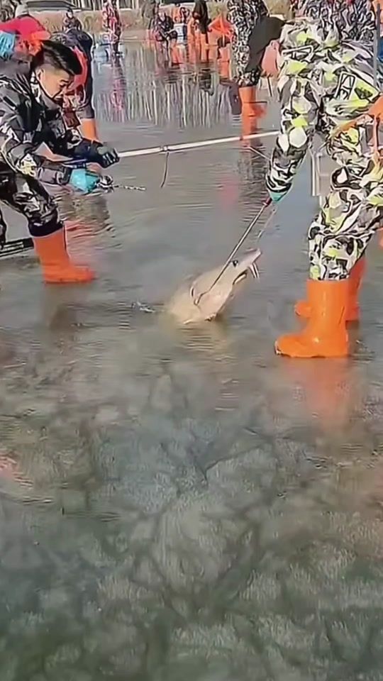 TikTok video thumbnail by vidosik_ot_sava